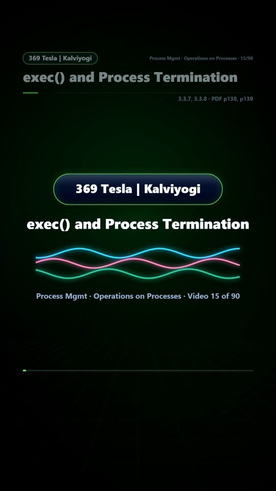 Lesson thumbnail: 15 exec and Process Termination
