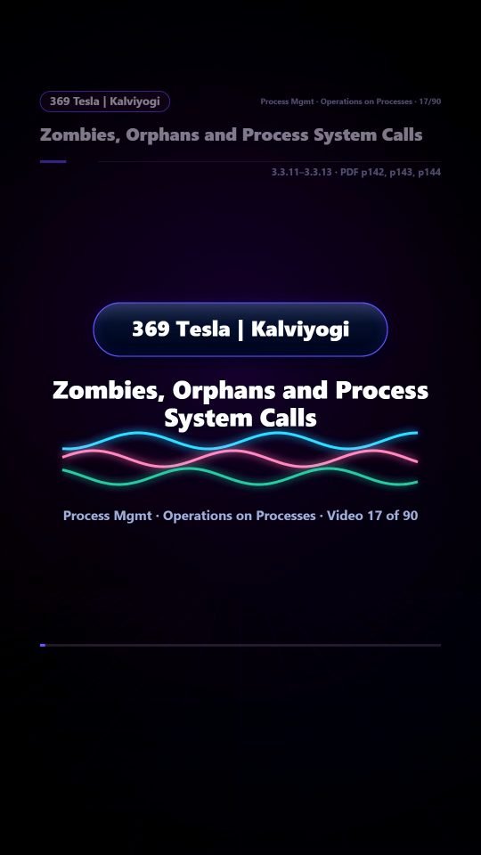 Lesson thumbnail: 17 Zombies Orphans and Process System Calls